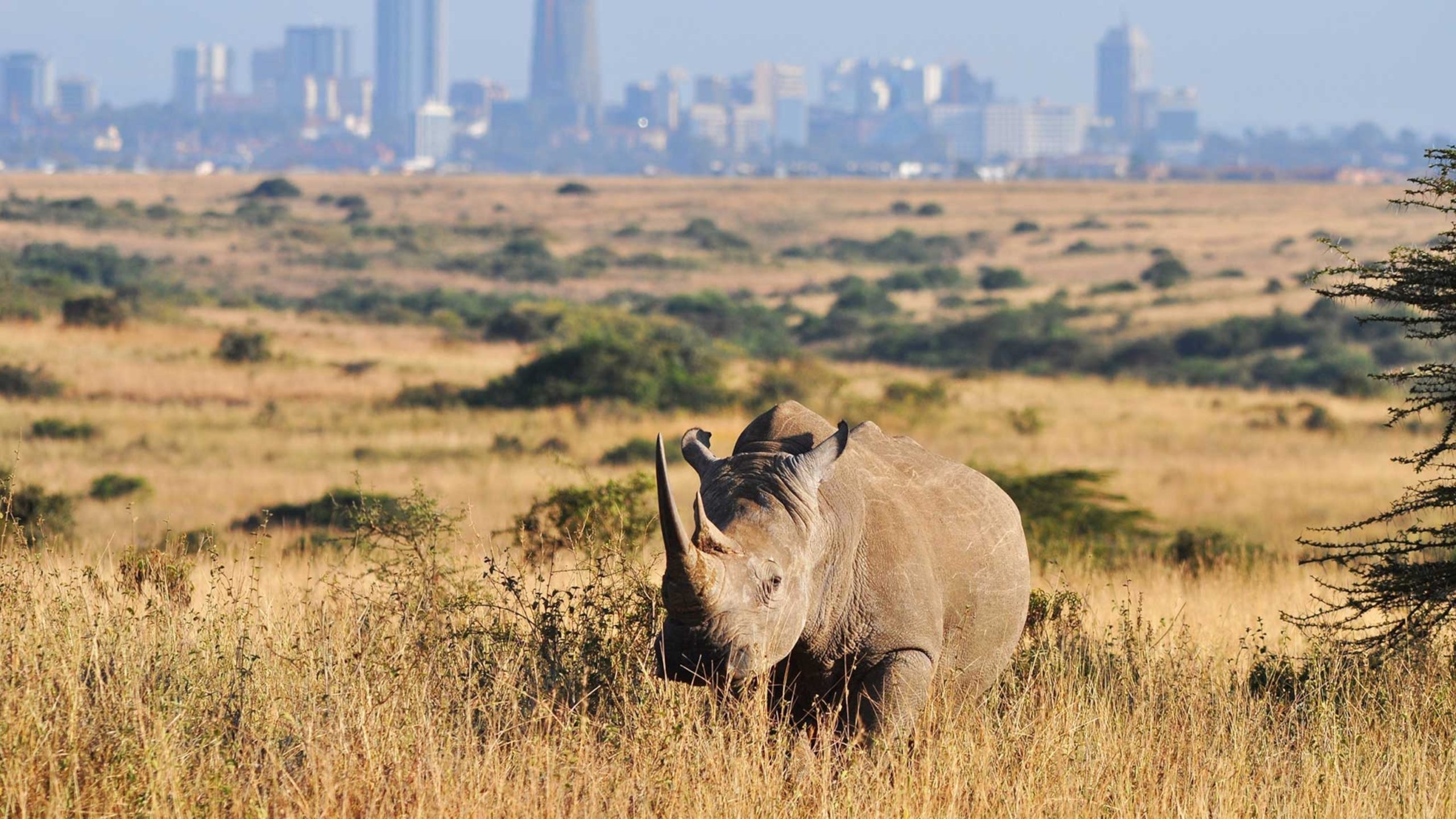 national-park-nairobi-kenya_16x9